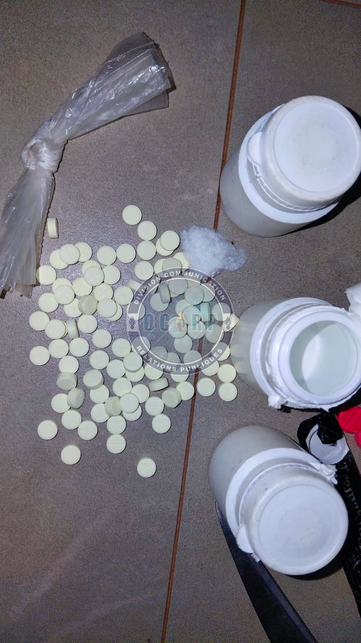 Lutte contre le trafic de drogues : des produits psychotropes saisis à BOKHODY (SARAYA) - Image 2
